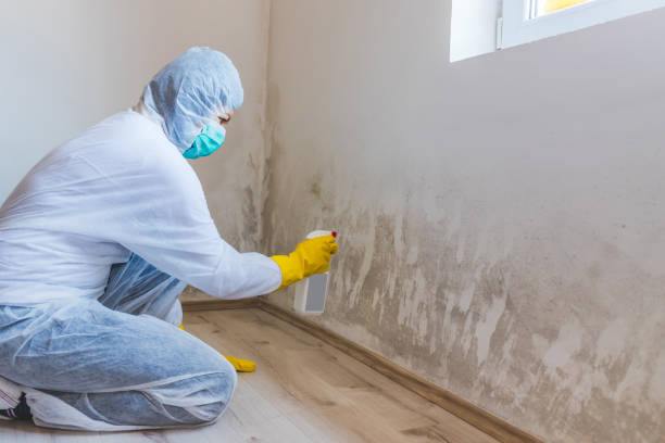 Commercial Mold Remediation assessment for commercial property in Clackamas