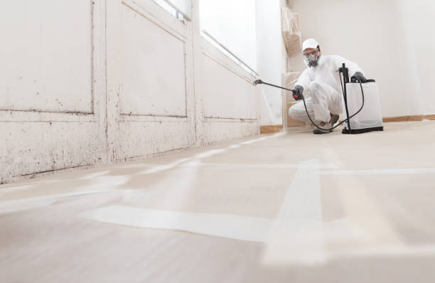 Black mold remediation team in Clackamas